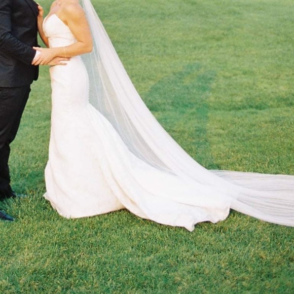 Anne barge Blue Willow mermaid wedding gown dress floral appliqué - Picture 4 of 13